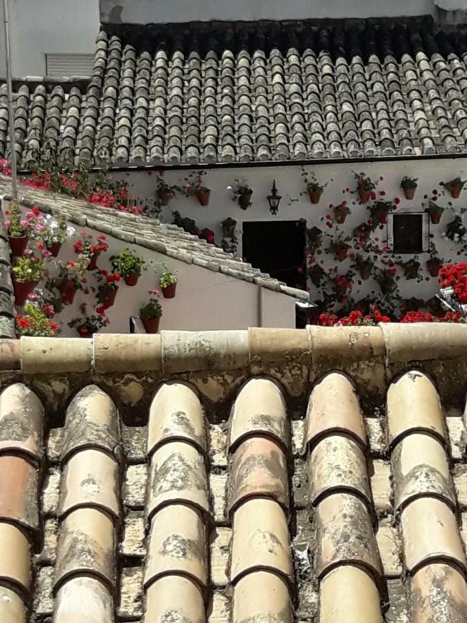 Los Tejares Del Alcazar Córdoba Exteriér fotografie