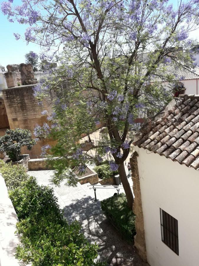 Los Tejares Del Alcazar Córdoba Exteriér fotografie